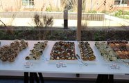 Buffet beim Get-together